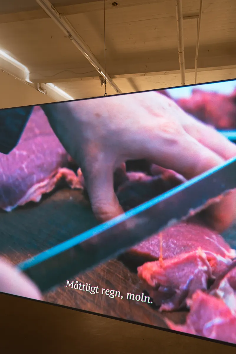 Close-up of a screen showing hands cutting raw meat, subtitle reading Måttligt regn, moln