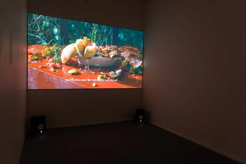 Projection in a dark room of fruit and plants on a red surface