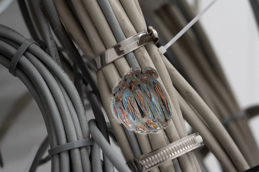 Close-up of grey cable bundles held by metal clamps around a glass object