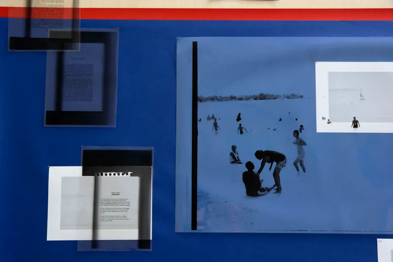 A blue board leaning against the wall under a window, a print of tree branches on the wall